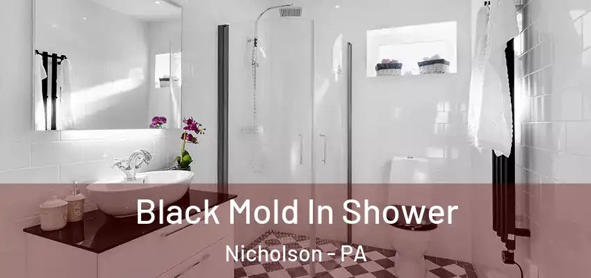  Black Mold In Shower Nicholson - PA