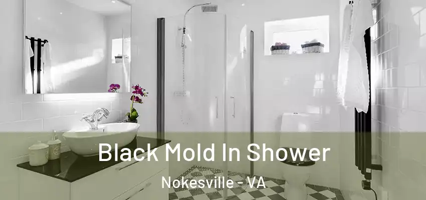  Black Mold In Shower Nokesville - VA