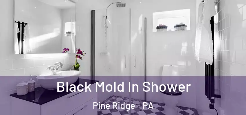  Black Mold In Shower Pine Ridge - PA