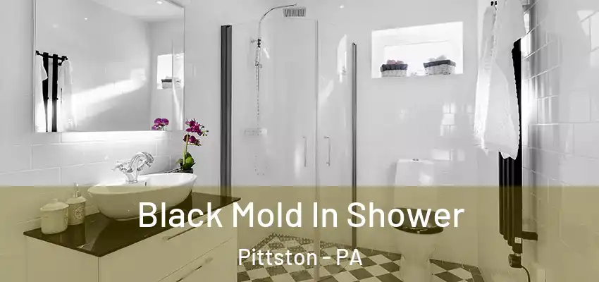 Black Mold In Shower Pittston - PA