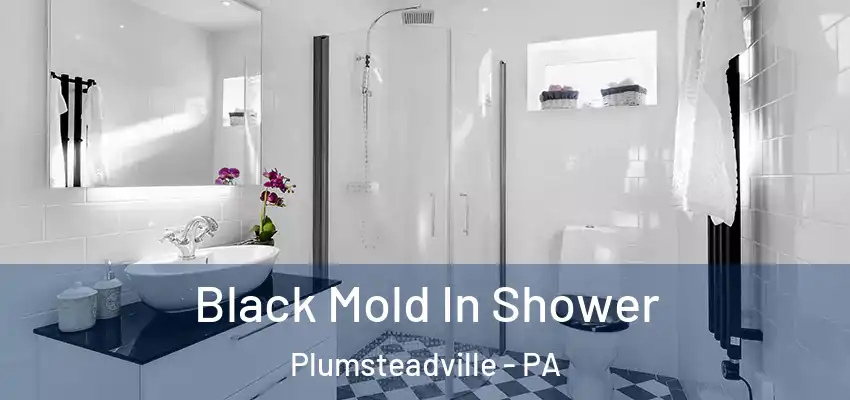 Black Mold In Shower Plumsteadville - PA