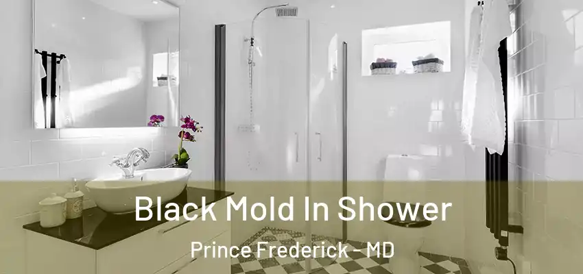 Black Mold In Shower Prince Frederick - MD