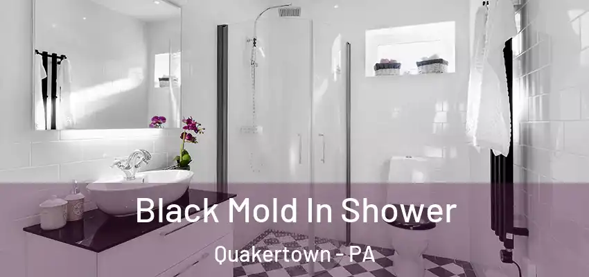 Black Mold In Shower Quakertown - PA