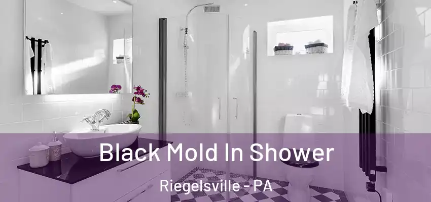 Black Mold In Shower Riegelsville - PA