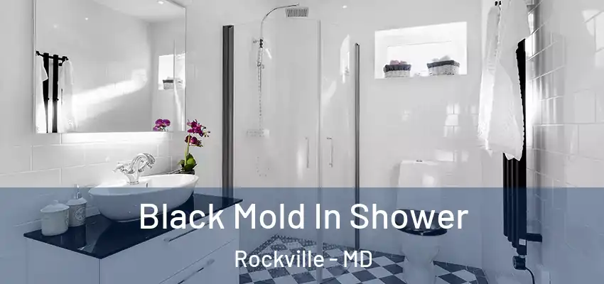 Black Mold In Shower Rockville - MD