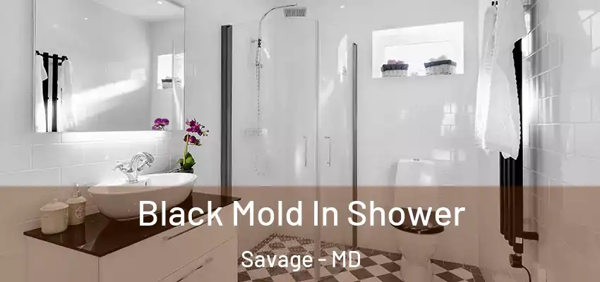 Black Mold In Shower Savage - MD