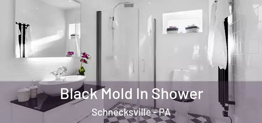 Black Mold In Shower Schnecksville - PA