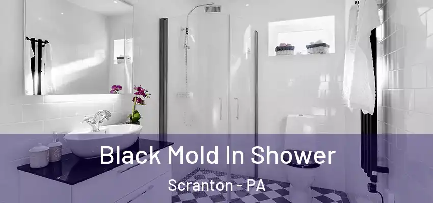 Black Mold In Shower Scranton - PA