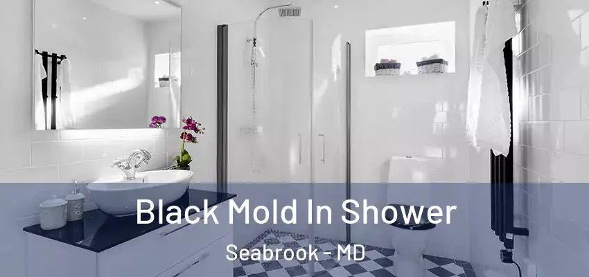 Black Mold In Shower Seabrook - MD