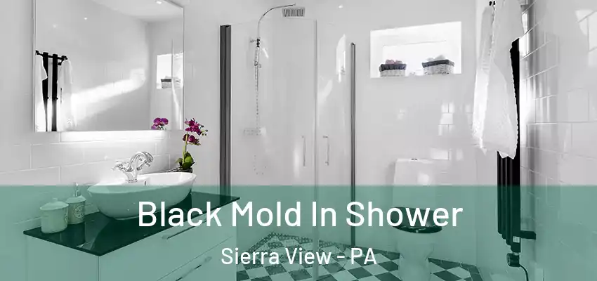 Black Mold In Shower Sierra View - PA
