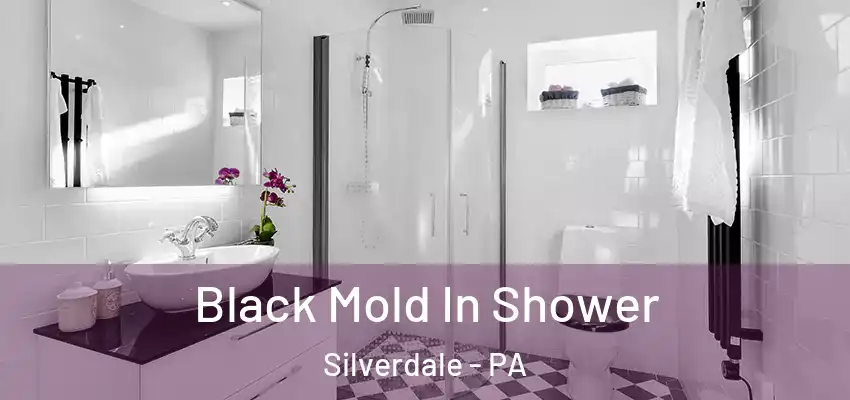 Black Mold In Shower Silverdale - PA
