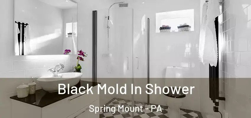 Black Mold In Shower Spring Mount - PA