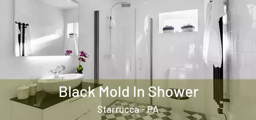 Black Mold In Shower Starrucca - PA