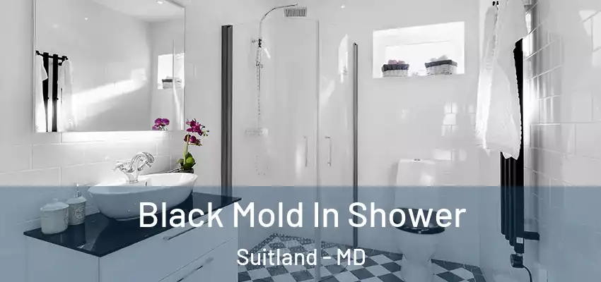 Black Mold In Shower Suitland - MD