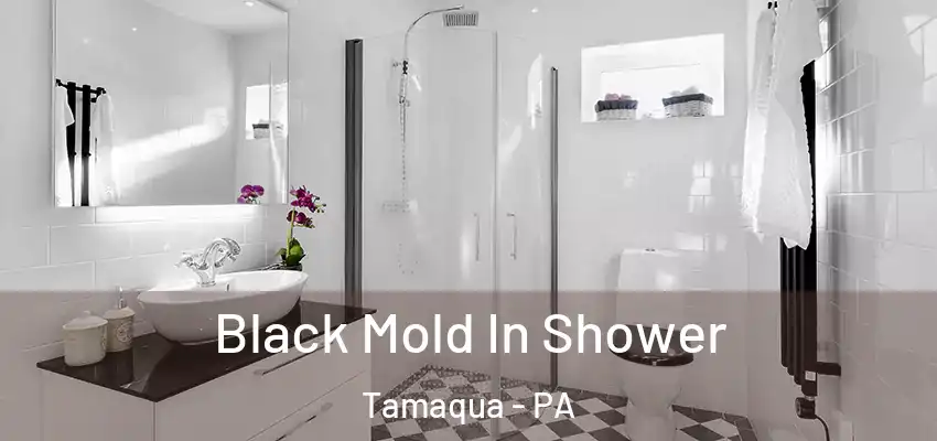 Black Mold In Shower Tamaqua - PA
