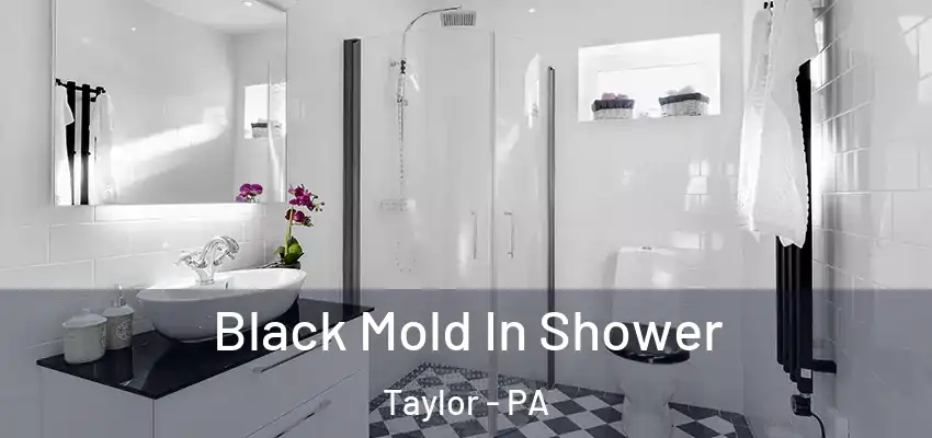 Black Mold In Shower Taylor - PA