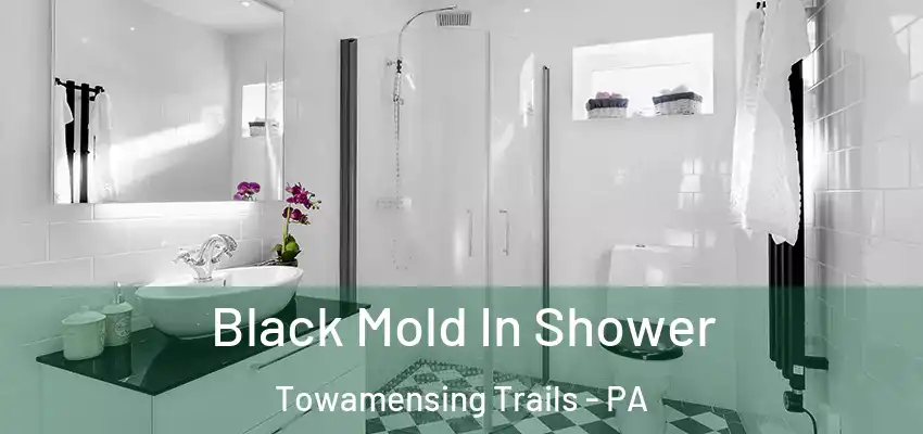 Black Mold In Shower Towamensing Trails - PA