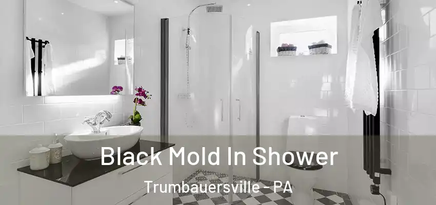 Black Mold In Shower Trumbauersville - PA