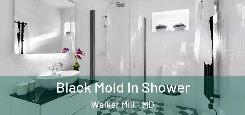  Black Mold In Shower Walker Mill - MD