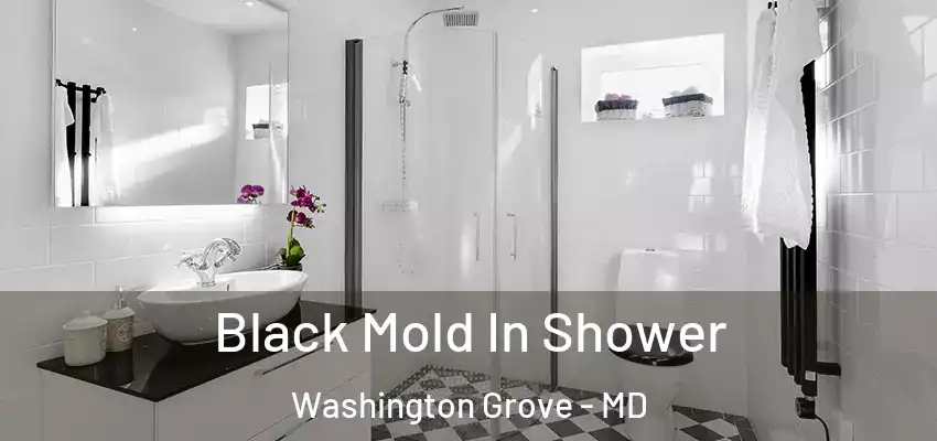 Black Mold In Shower Washington Grove - MD