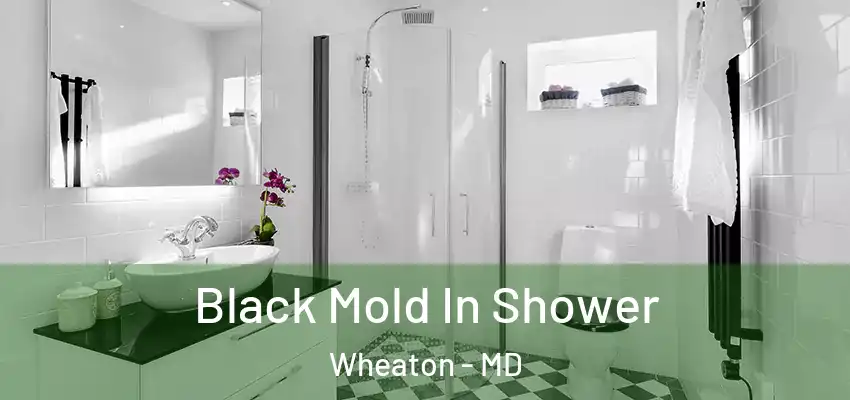 Black Mold In Shower Wheaton - MD