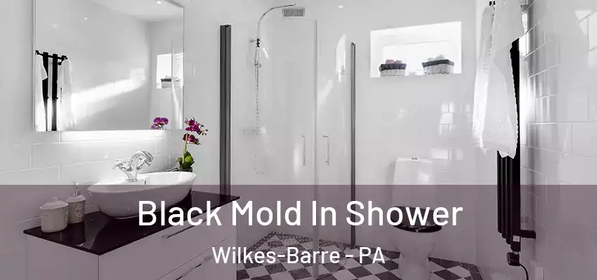 Black Mold In Shower Wilkes-Barre - PA