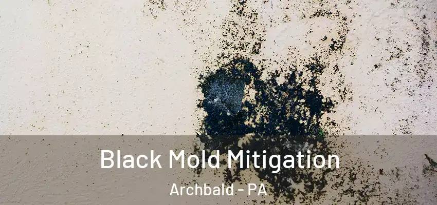 Black Mold Mitigation Archbald - PA