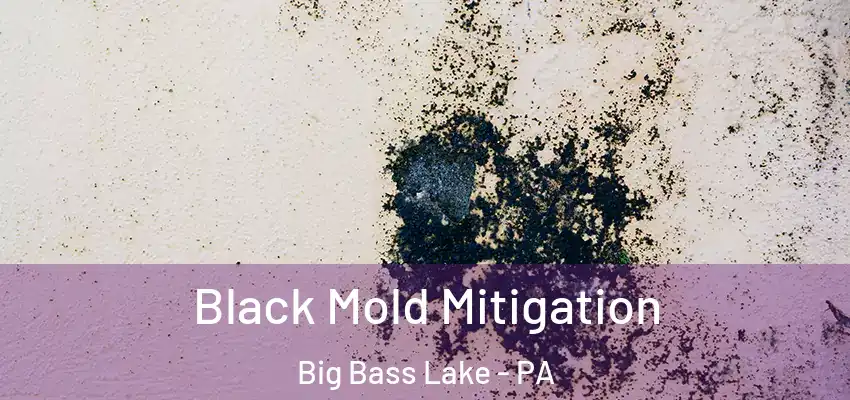 Black Mold Mitigation Big Bass Lake - PA