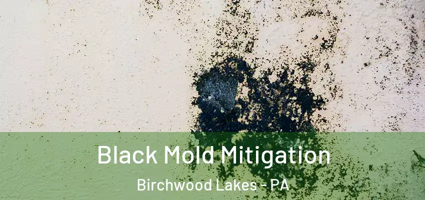 Black Mold Mitigation Birchwood Lakes - PA