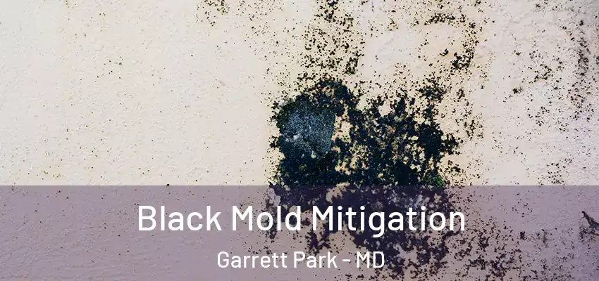 Black Mold Mitigation Garrett Park - MD