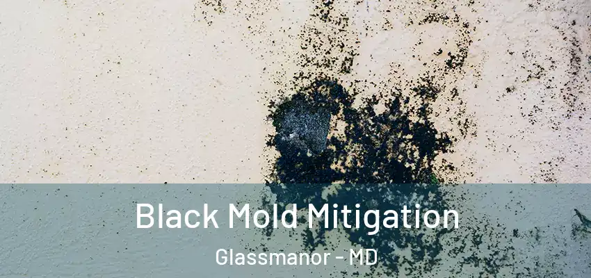 Black Mold Mitigation Glassmanor - MD
