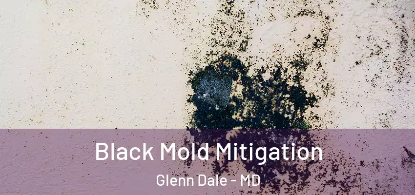 Black Mold Mitigation Glenn Dale - MD