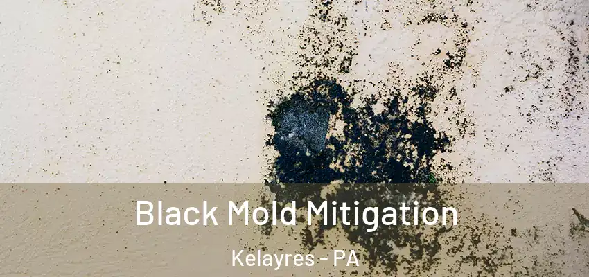 Black Mold Mitigation Kelayres - PA