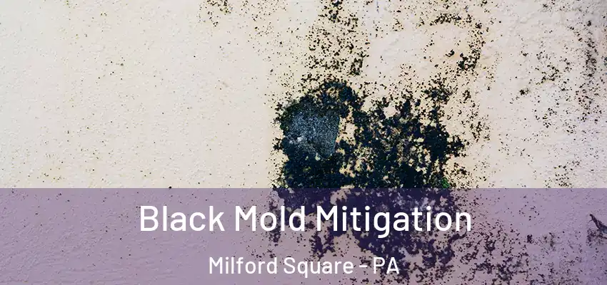 Black Mold Mitigation Milford Square - PA