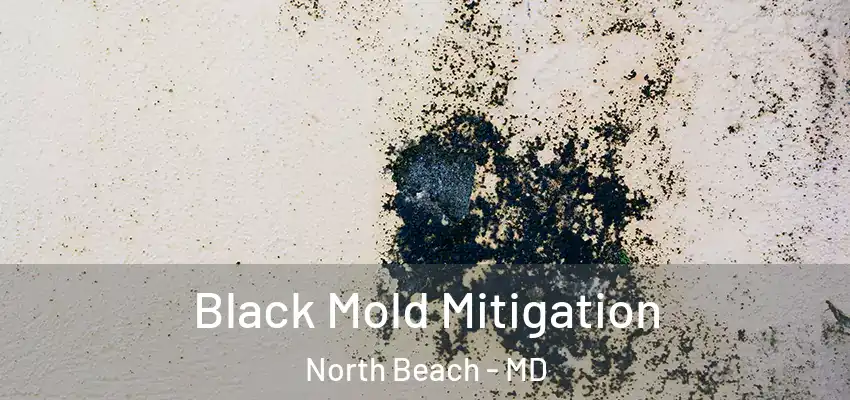 Black Mold Mitigation North Beach - MD