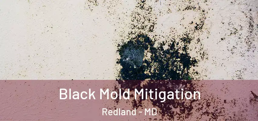 Black Mold Mitigation Redland - MD