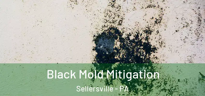 Black Mold Mitigation Sellersville - PA