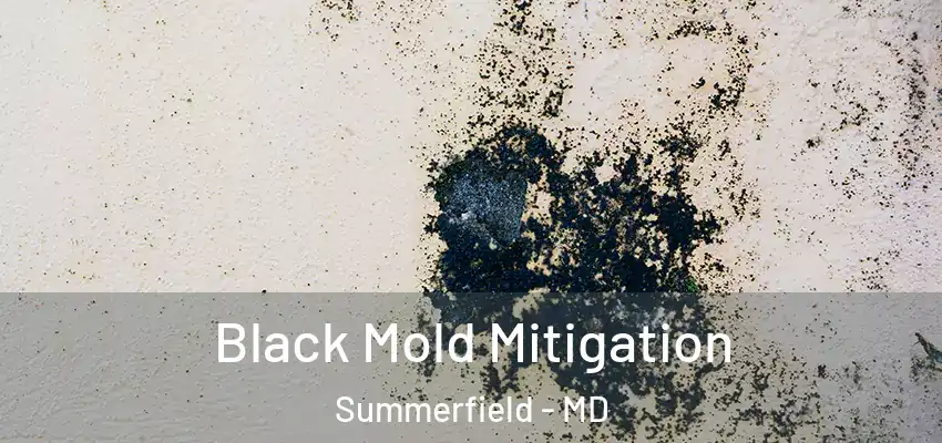 Black Mold Mitigation Summerfield - MD