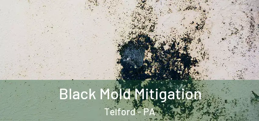  Black Mold Mitigation Telford - PA