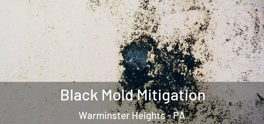  Black Mold Mitigation Warminster Heights - PA