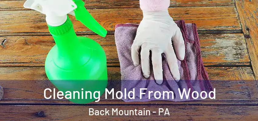 Cleaning Mold From Wood Back Mountain - PA