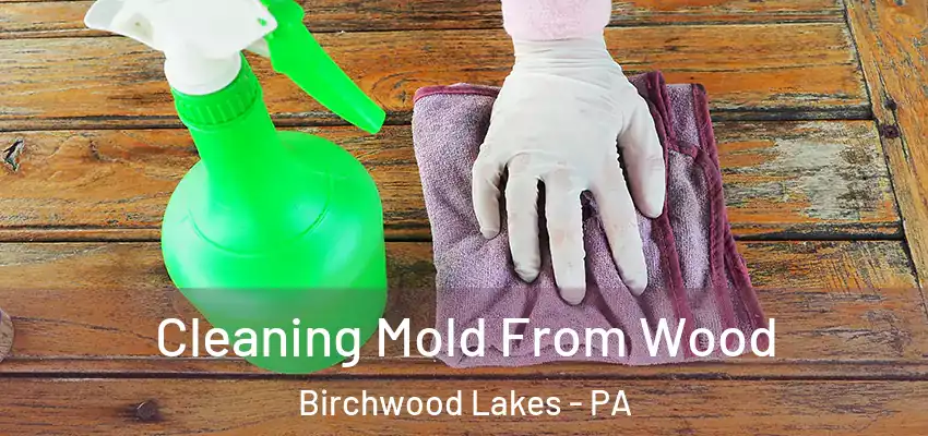 Cleaning Mold From Wood Birchwood Lakes - PA