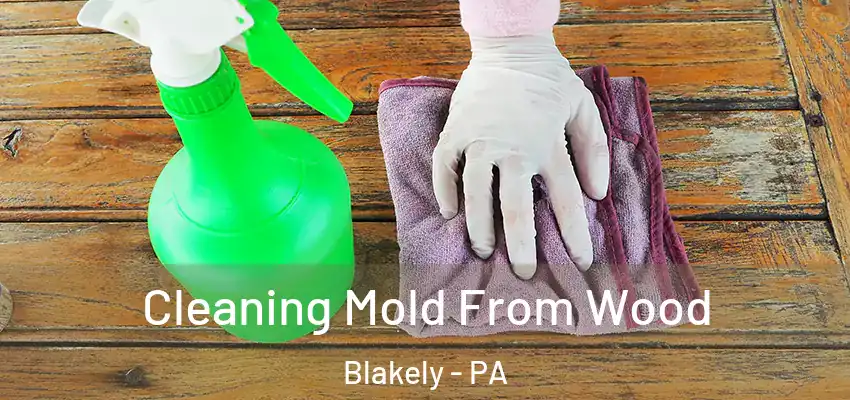 Cleaning Mold From Wood Blakely - PA
