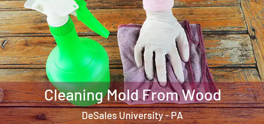 Cleaning Mold From Wood DeSales University - PA