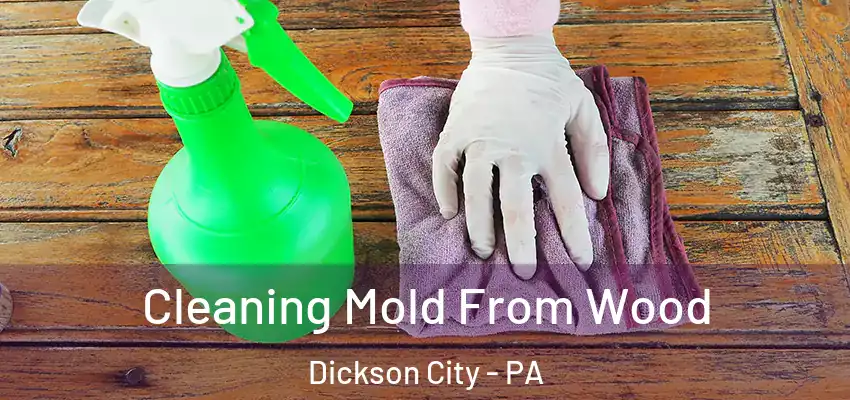 Cleaning Mold From Wood Dickson City - PA