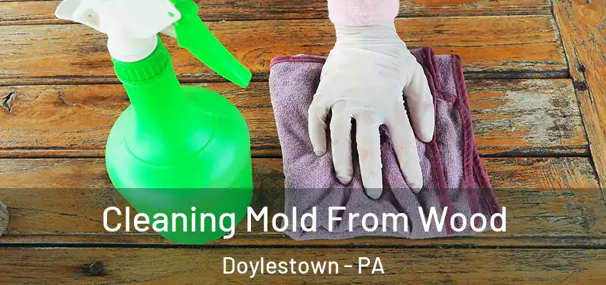 Cleaning Mold From Wood Doylestown - PA