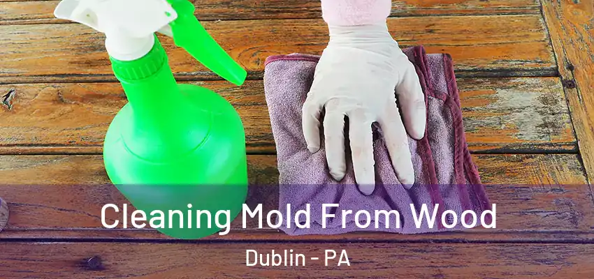 Cleaning Mold From Wood Dublin - PA