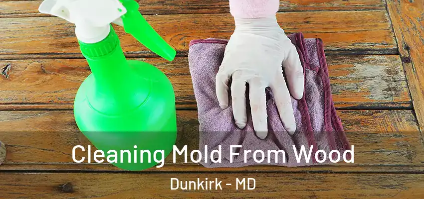  Cleaning Mold From Wood Dunkirk - MD