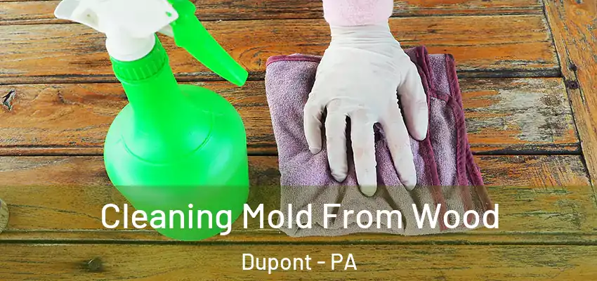 Cleaning Mold From Wood Dupont - PA