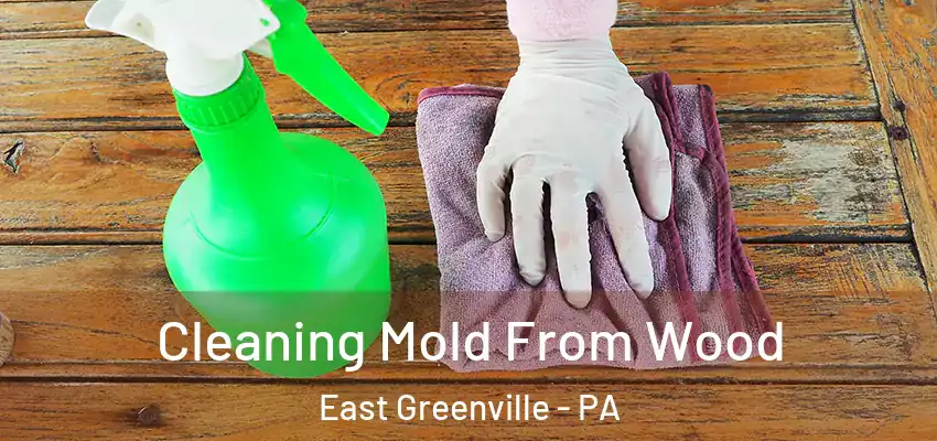 Cleaning Mold From Wood East Greenville - PA
